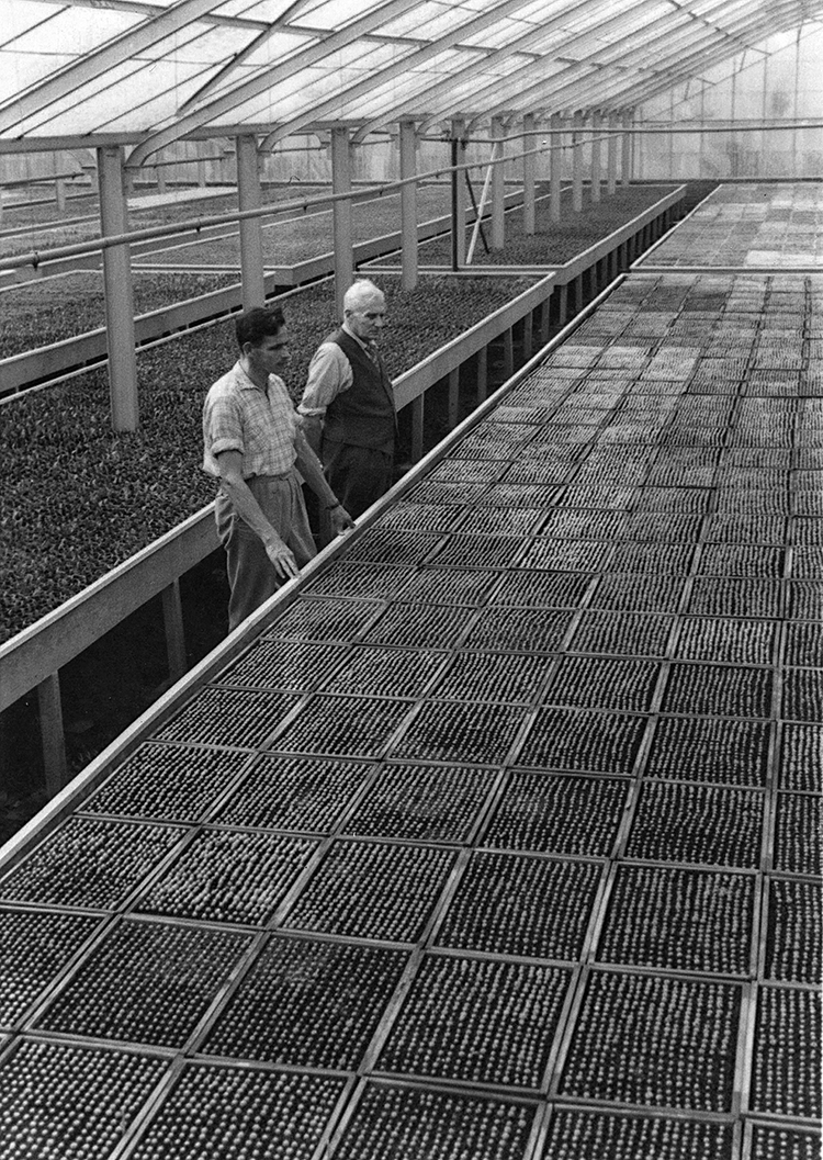 vangeestnursery 750px