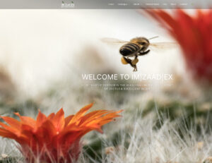 Welcome to our new website!
